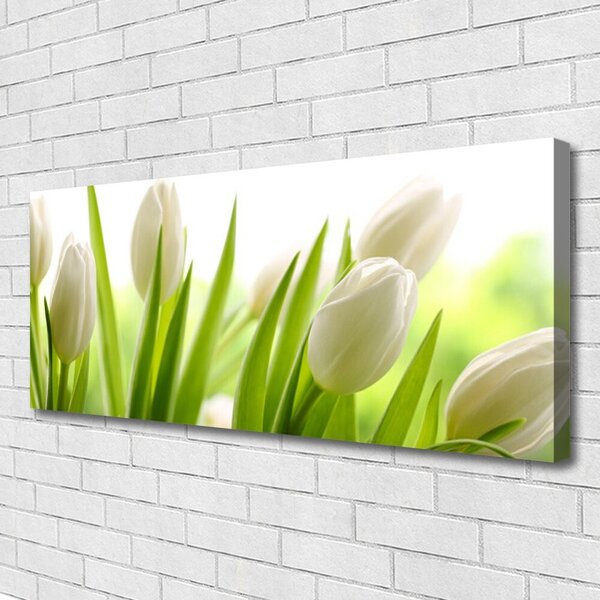 Obraz na plátne Tulipány kvety 125x50 cm