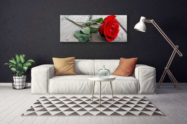 Obraz na plátne Ruže kvety 125x50 cm