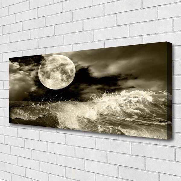 Obraz na plátne Noc mesiac príroda 125x50 cm