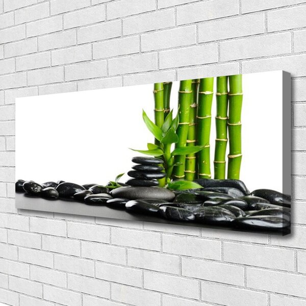 Obraz na plátne Bambus kamene umenie 125x50 cm