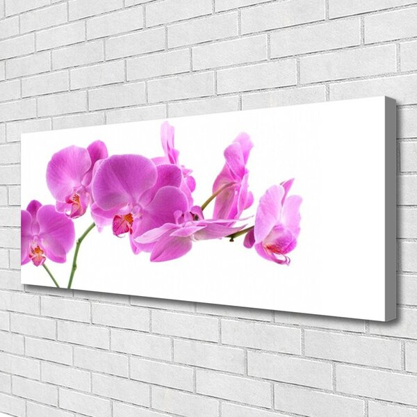 Obraz na plátne Kvety rastlina príroda 125x50 cm