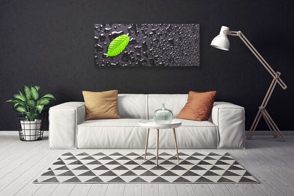 Obraz na plátne List kvapky umenie 125x50 cm