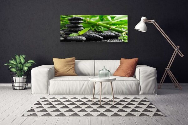 Obraz na plátne Bambus kamene rastlina 125x50 cm