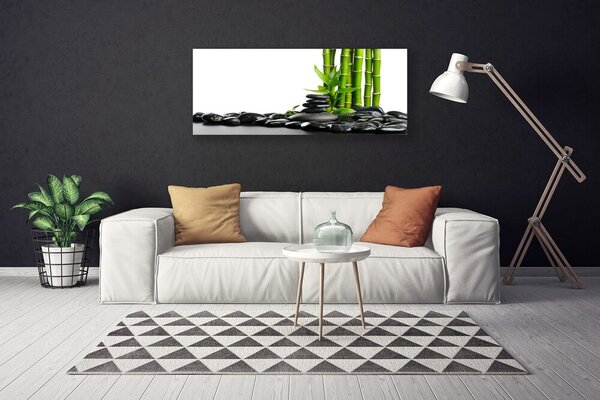 Obraz na plátne Bambus kamene umenie 125x50 cm