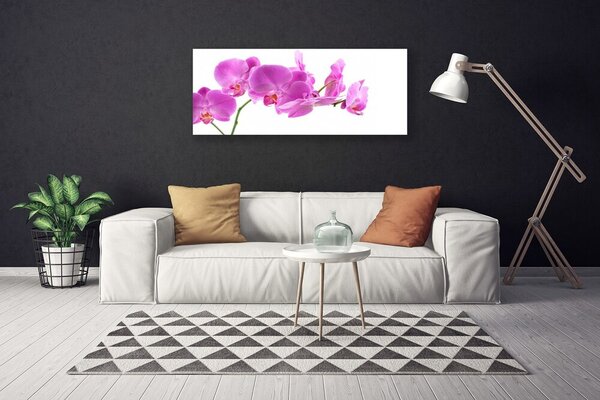 Obraz na plátne Kvety rastlina príroda 125x50 cm