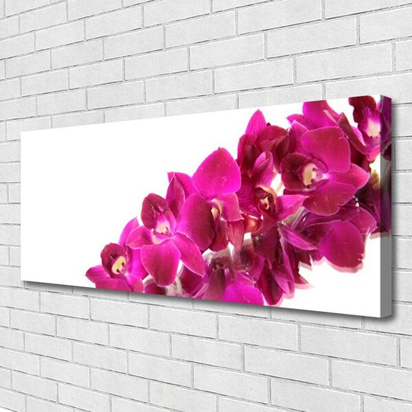 Obraz na plátne Kvety rastlina príroda 125x50 cm