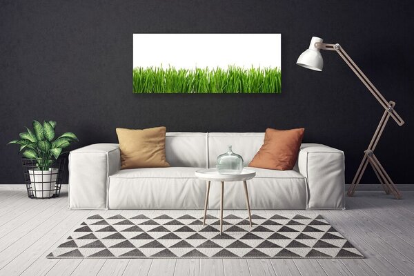 Obraz na plátne Tráva príroda rastlina 125x50 cm