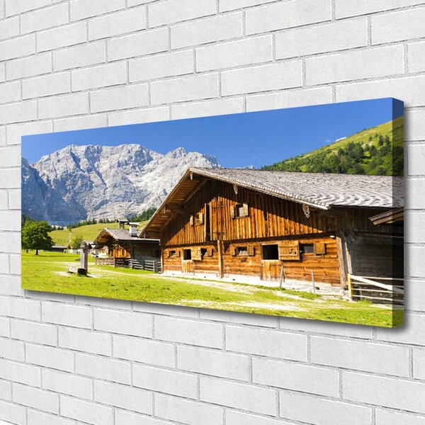 Obraz na plátne Dom hora krajina 125x50 cm