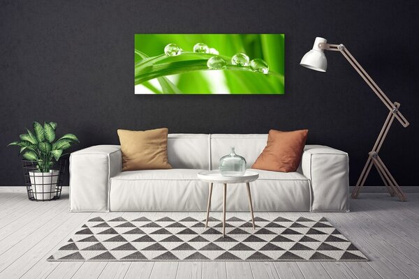 Obraz na plátne Listy príroda rastlina 125x50 cm
