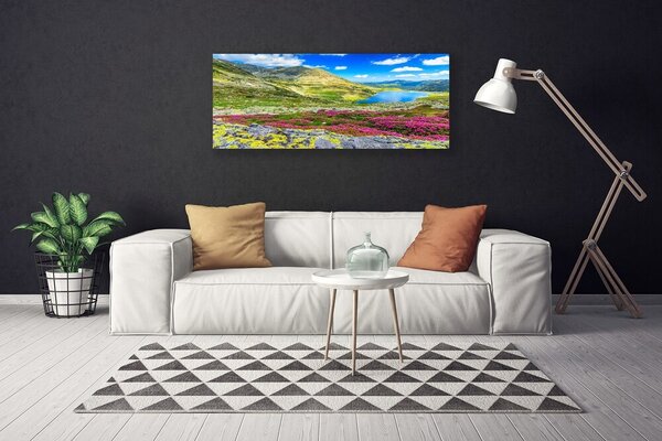 Obraz na plátne Hora záliv lúka príroda 125x50 cm
