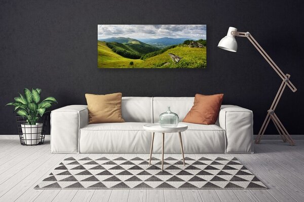 Obraz na plátne Hora lúka krajina 125x50 cm