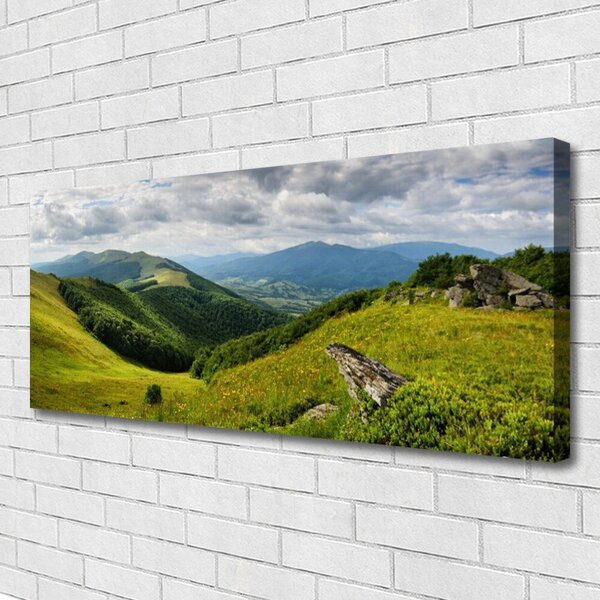 Obraz na plátne Hora lúka krajina 125x50 cm