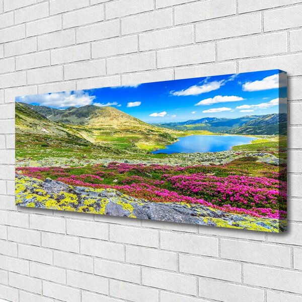 Obraz na plátne Hora záliv lúka príroda 125x50 cm