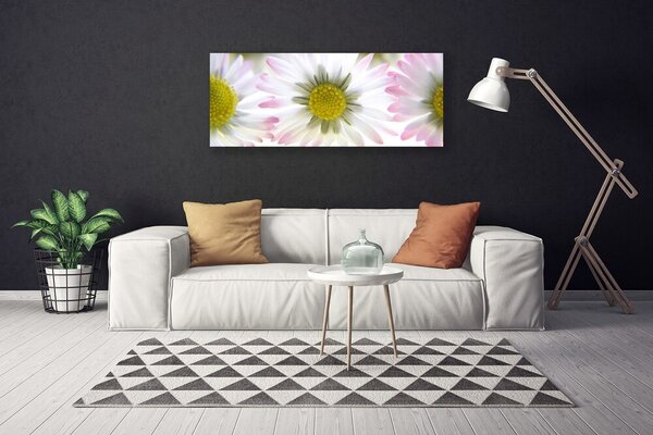 Obraz na plátne Sedmokráska rastlina príroda 125x50 cm