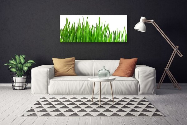 Obraz na plátne Tráva rastlina príroda 125x50 cm
