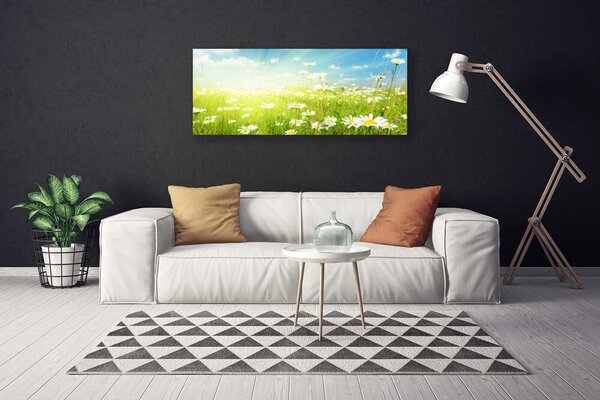 Obraz na plátne Lúka sedmokrásky príroda 125x50 cm