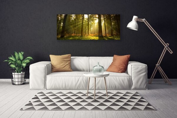 Obraz na plátne Les príroda 125x50 cm