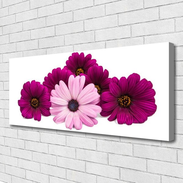Obraz na plátne Kvety rastlina príroda 125x50 cm