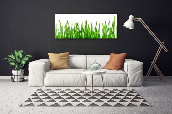 Obraz na plátne Tráva rastlina príroda 125x50 cm