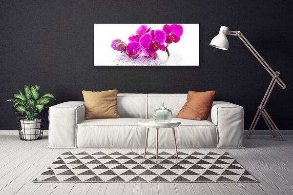 Obraz Canvas Kvety rastlina príroda 125x50 cm
