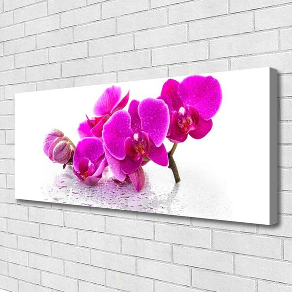 Obraz Canvas Kvety rastlina príroda 125x50 cm