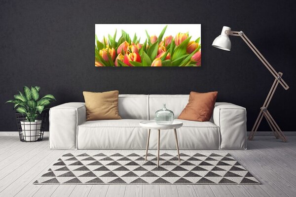 Obraz Canvas Tulipány kvety rastlina 125x50 cm