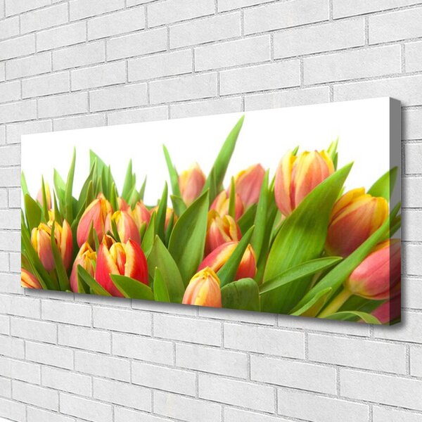 Obraz Canvas Tulipány kvety rastlina 125x50 cm