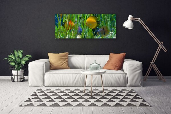 Obraz Canvas Ryba riasy príroda 125x50 cm