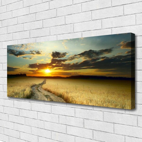 Obraz Canvas Cestička pole príroda 125x50 cm