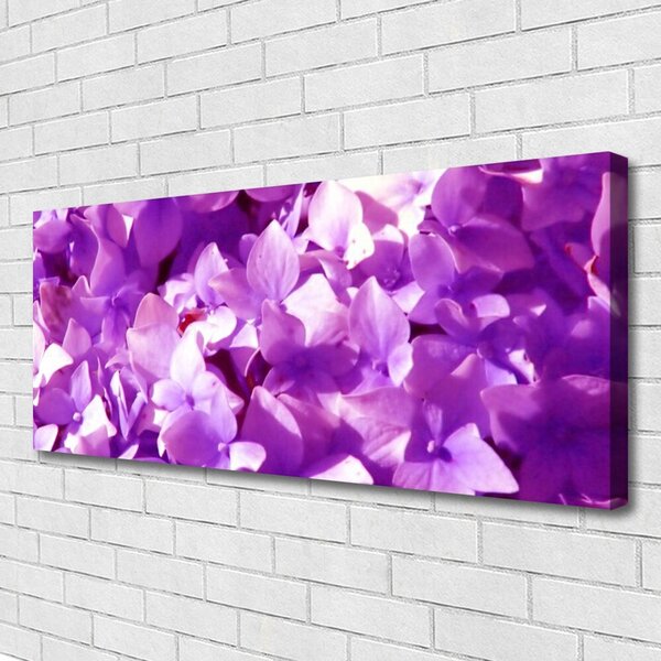 Obraz Canvas Kvety rastlina príroda 125x50 cm