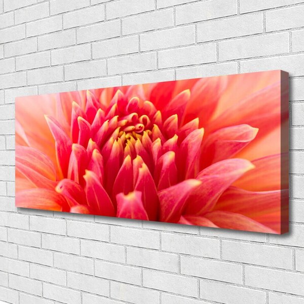 Obraz Canvas Kvet rastlina príroda 125x50 cm