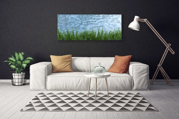 Obraz Canvas Tráva voda príroda 125x50 cm