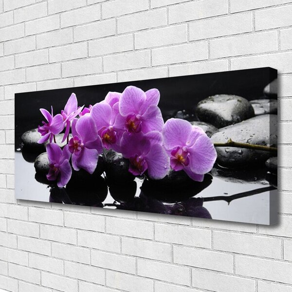 Obraz Canvas Kvet kamene rastlina 125x50 cm