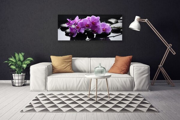 Obraz Canvas Kvet kamene rastlina 125x50 cm
