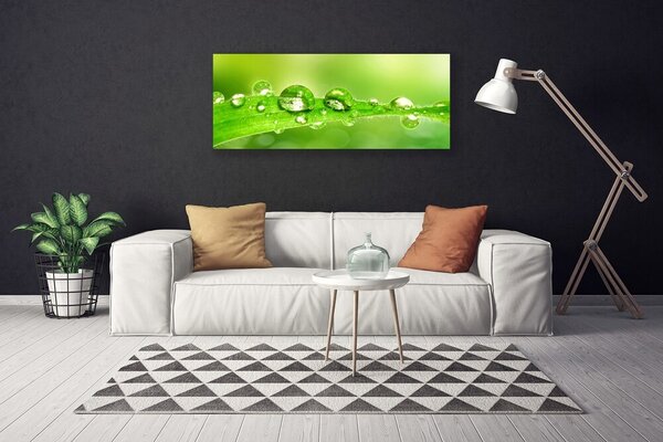 Obraz Canvas List kvapky rosa rastlina 125x50 cm
