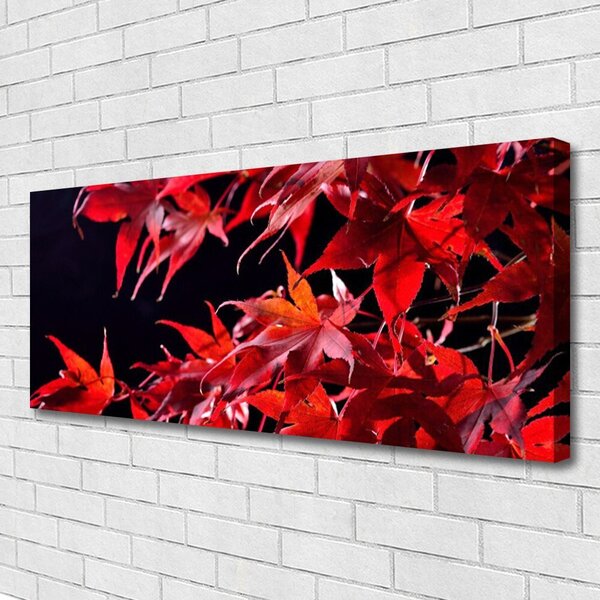 Obraz Canvas Listy príroda rastlina 125x50 cm