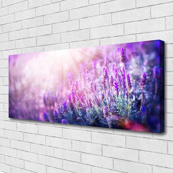 Obraz Canvas Kvety rastlina príroda 125x50 cm