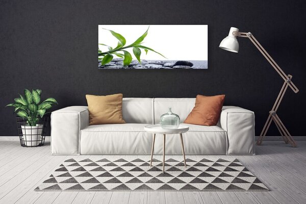 Obraz Canvas List príroda kamene rastlina 125x50 cm