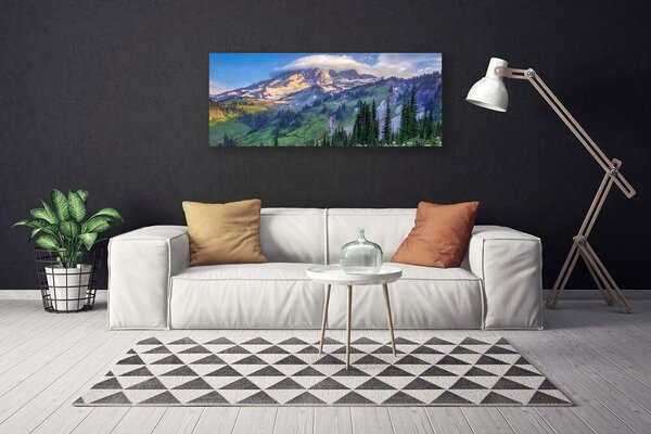 Obraz Canvas Hora les príroda 125x50 cm