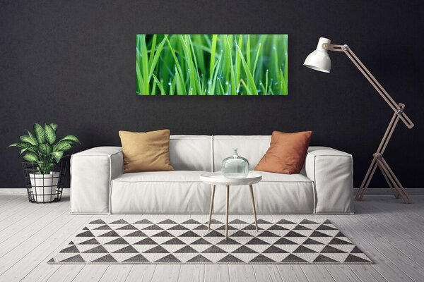 Obraz Canvas Tráva kvapky rastlina príroda 125x50 cm
