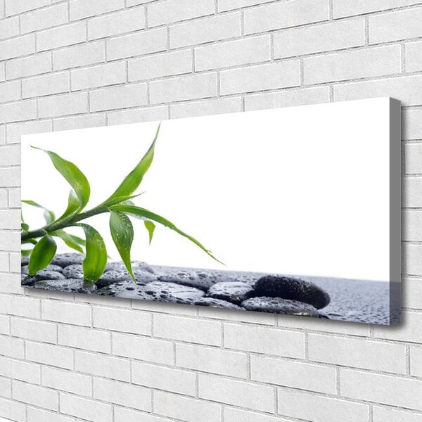 Obraz Canvas List príroda kamene rastlina 125x50 cm