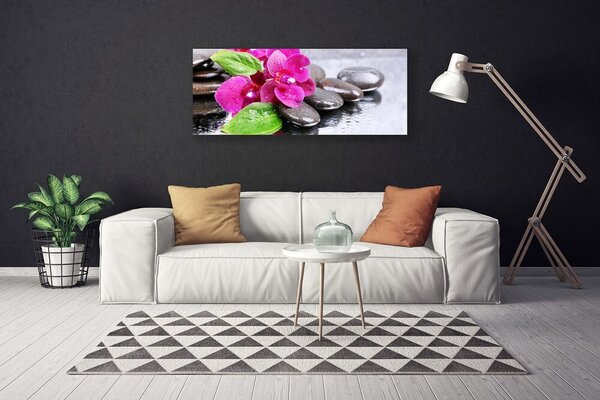 Obraz Canvas Kvet kamene rastlina 125x50 cm