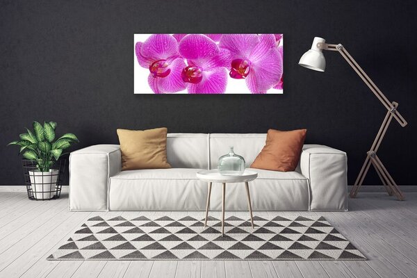 Obraz Canvas Kvety rastlina príroda 125x50 cm