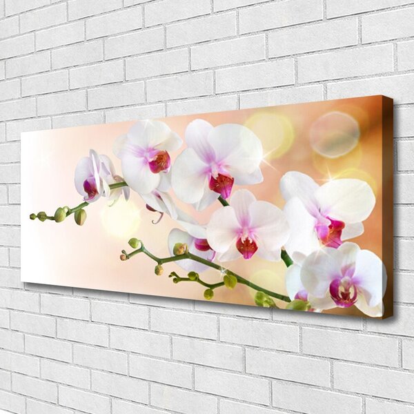 Obraz Canvas Kvety rastlina príroda 125x50 cm