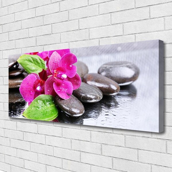 Obraz Canvas Kvet kamene rastlina 125x50 cm