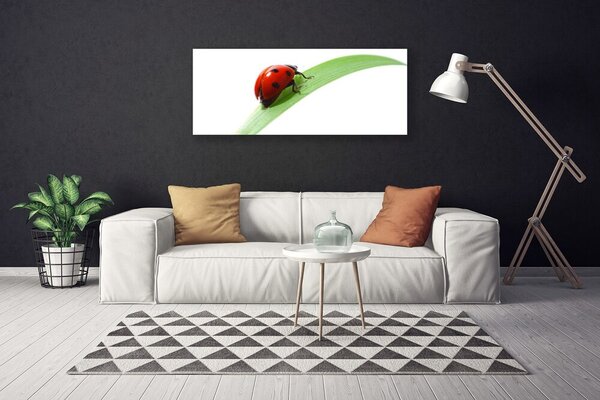 Obraz Canvas Lienka list príroda 125x50 cm