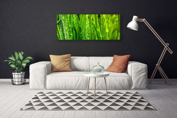 Obraz Canvas Tráva rastlina príroda 125x50 cm