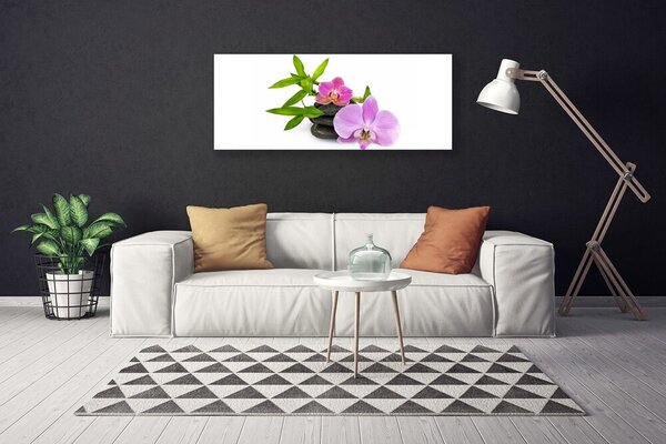 Obraz Canvas Kvet kamene rastlina 125x50 cm