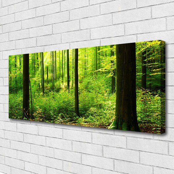 Obraz Canvas Les zeleň stromy príroda 125x50 cm