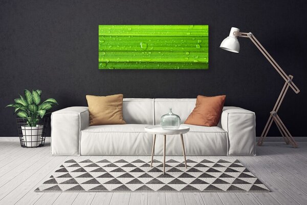 Obraz Canvas Tráva rastlina príroda 125x50 cm